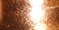 Metallic Copper - G31 - 800m/880yards